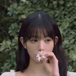 아이브 장원영 개인광고 현황