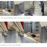 경상북도 <b>구미시</b> 아파트 얼마가 적당하다고 생각하세요?