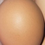 [ㅈㄱㄴ] <b>달걀</b> 보고 박탈감 느낀적 처음임
