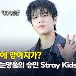 [스키즈] 승모 <b>댕댕이</b>인 거 온세상이 다 안다ㅏ