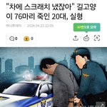 [댓글부탁해] 길고양이 76마리죽인 20대<b>남성</b>