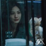 [댓글부탁해] 하 요새 나나<b>웅</b><b>니</b>가 너무 좋음 어캄;;