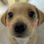 <b>과</b><b>씨</b>씨는 좀 아니냐?
