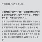 [방탈죄송] 당근 고양이 <b>사료</b> 나눔, 교환, 거래 모두 신고 부탁...