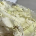 [19] 급함 양배추에 이거 <b>애벌레</b>야?ㅠㅠ