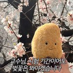 3일째 <b>밤샘</b>중