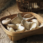 가장 건강에 좋은 버섯 5가지 리스트