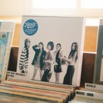 미감차이란게 있나봄