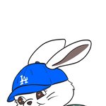 다들 완판룩 <b>버니</b> 받아가