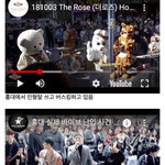 코첼라 나온 밴드의 5년 전 미스테리