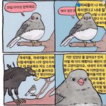 세븐틴 아이브 <b>지코</b>등등 컴백아이돌 화이팅ㅋㅋㅋ