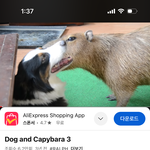 얘들아 유튭에 카피<b>바라</b>랑 강아지