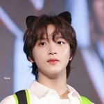 어제 팬싸 고양이 <b>해찬</b>