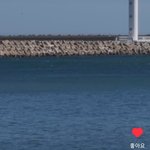 [<b>방탄소년단</b>] 알감자 남주나?