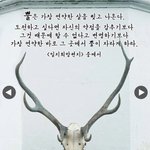진실을 떠나서 진짜 소름돋는게 많긴하네