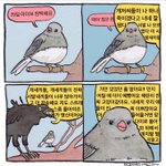 4/29 pm6 아이브 해야 많<b>관부</b>