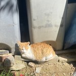 [댓글부탁해] 국어 시험<b>범위</b> 싹다비문학인데
