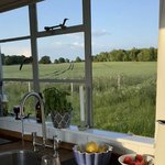 이 <b>부엌</b>이 내 <b>부엌</b>이었으면 좋겠어