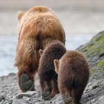 <b>무장</b> 해제까지 0.1초 남았다