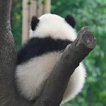 [드루와] 우울증도 결혼전에 말해야함?