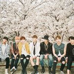 [군대] 난 <b>단지</b> 얘네얼굴과 노래가 좋았을 뿐이에요