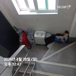 남미새가 아랫집일 때