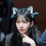 팬들 사이에서 은근 갈리는 카리나 닮은 <b>동물</b>