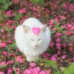 살빼고 주변<b>대우</b> 어케 변하는지