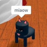 반희수-> <b>바니</b>수-> 버니즈