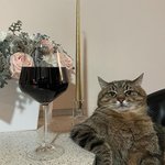 판녀야 잠시 이리와<b>바라</b>