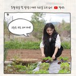 아이들 전소연 프로그램 <b>런칭</b>