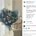 헤이<b>딜러</b> 모델, 한소희→수지로? 헤이<b>딜러</b> 측 "공식화된 것 없어"