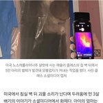 3살딸 "엄마 벽에 <b>괴물</b>이 있어"