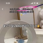 <b>해파리</b> 키우기