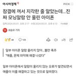 아이폰 <b>알람</b>버그