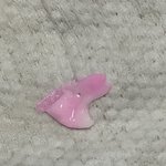 [이것좀봐줘] 생수에서 이상한게 나왔는데 뭔지 아시나요?