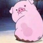 [19] 나 <b>썸남</b>한테 똥돼지가 되~쓴적있음