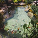 <b>물속</b>은 엄청 시원하겠지?