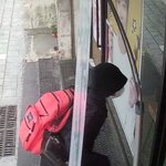 가게 꽃도둑