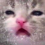 [댓글부탁해] 우리집 <b>벌레</b> 진짜 안나오는데
