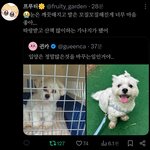 양정원 <b>최종</b> 좋은 이유
