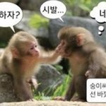[댓글부탁해] 기숙사 살때 <b>빌런</b>인 룸메 뭐라 생각함?