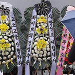 [군대] 오늘 <b>연합</b>뉴스기사 많이 났었네