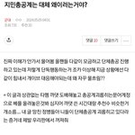 [군대] <b>내글</b> 때문에 ㅈㅁ악개가 미쳤나본데