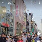 이영상 보고 수치<b>사함</b>