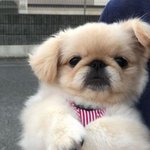 근데 <b>눈치</b>없는 애들이