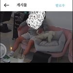[방탈죄<b>송</b>] 공론화 위해서 공유 합니다.!!!!