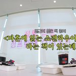 <b>논어</b>와 쇼펜하우어 읽는 여자 장원영