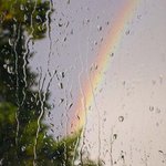 비 오는 날 <b>창밖</b> 구경하기