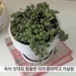 이야 <b>미적</b> 48 3등급